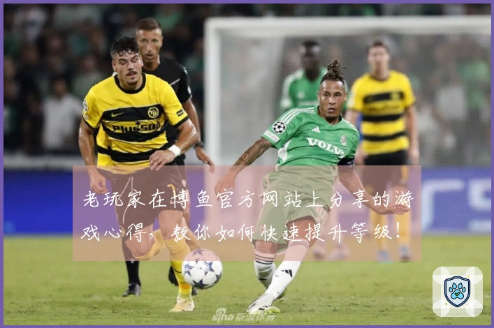 老玩家在博鱼官方网站上分享的游戏心得，教你如何快速提升等级！