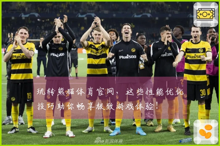 玩转熊猫体育官网，这些性能优化技巧助你畅享极致游戏体验！