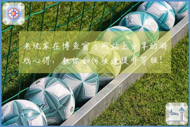 老玩家在博鱼官方网站上分享的游戏心得，教你如何快速提升等级！