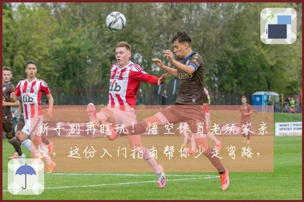 新手别再瞎玩！悟空体育老玩家亲授，这份入门指南帮你少走弯路，快速上手！