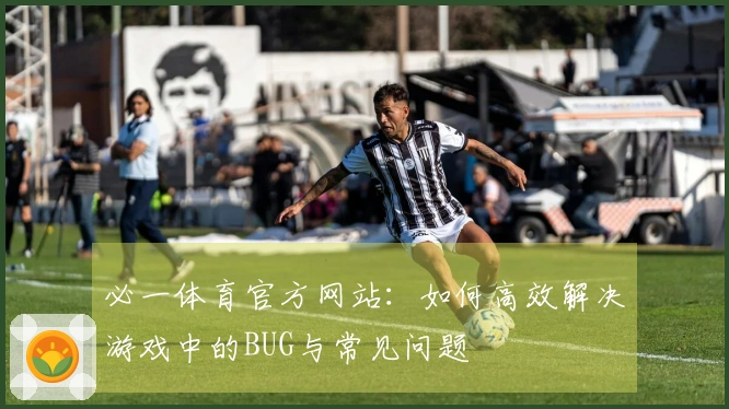 必一体育官方网站：如何高效解决游戏中的BUG与常见问题