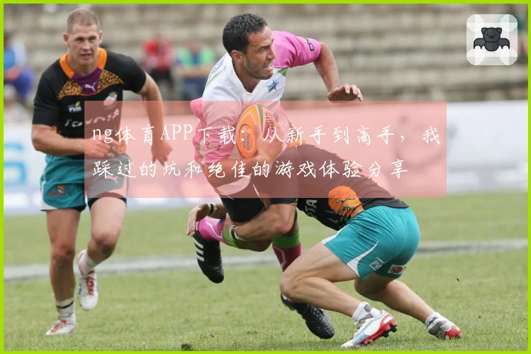 ng体育APP下载：从新手到高手，我踩过的坑和绝佳的游戏体验分享